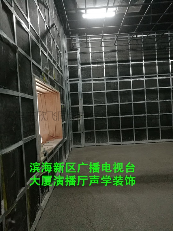 濱海廣電噪音治理